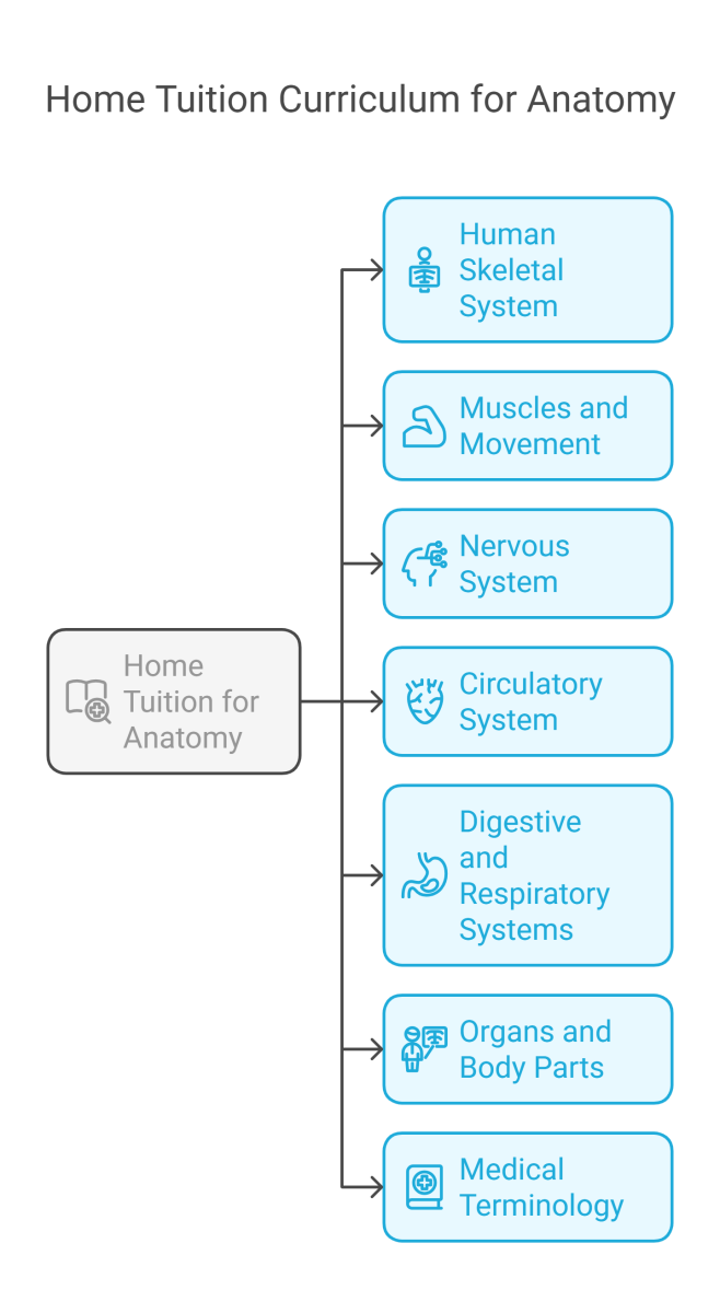 Topics Covered in Home Tuition for Anatomy