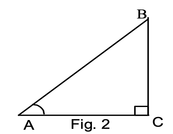 trigonometric function