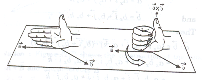 cross or vector product