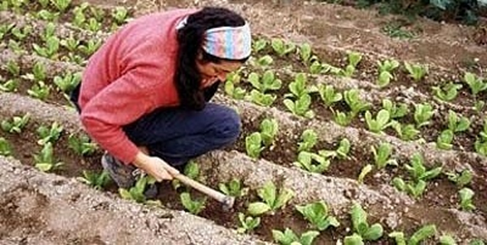 Some Interesting Facts