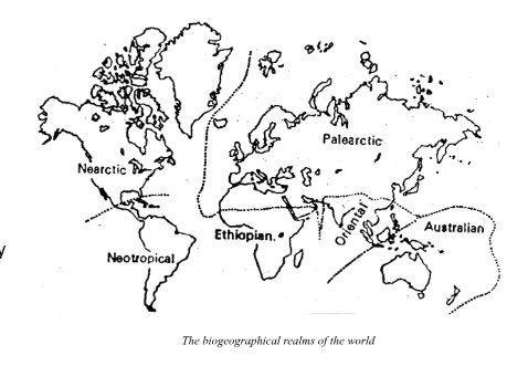 the biogeographical