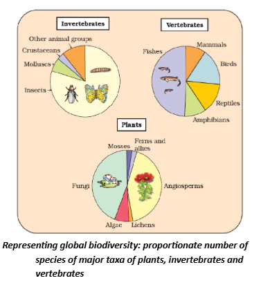  How Many Species are there on Earth and How Many in India?