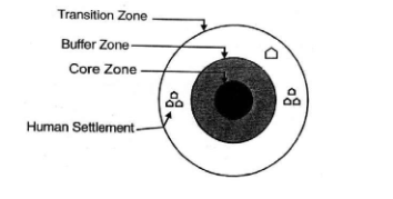 The zonation in a terrestiral Biosphere Reserve
