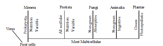 Significance of five-kingdom classification
