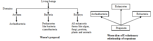 Six Kingdom System of Classification