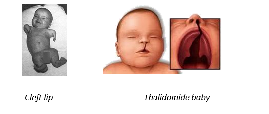 External changes/Environmental effects in embryo