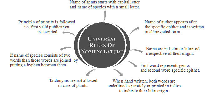 Rules of Nomenclature