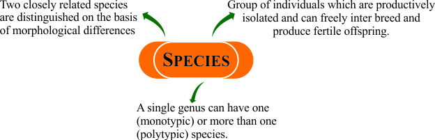 Species