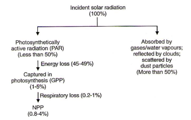 Solar Radiation