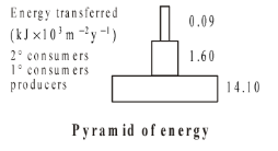 Pyramids of Energy