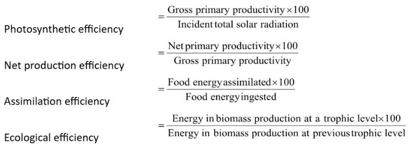 Ecological Effeciciences