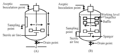 Microbes in Industrial Product