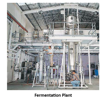  fermentation plant 
