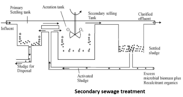 Secondary sewage treatment