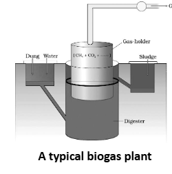 Biogas Plant