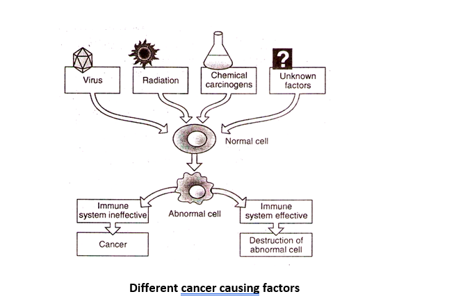 Different cancer causing factors