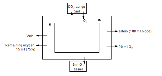oxygen carrying capacity of blood
