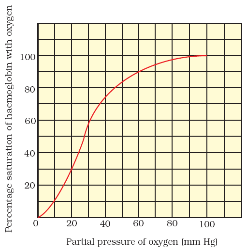 hyper ventilation