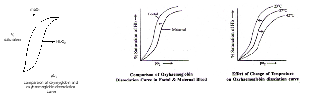 Oxygen dissociation curve