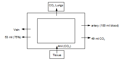Bicarbonate ions 
