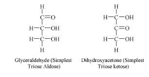 monosaccharide
