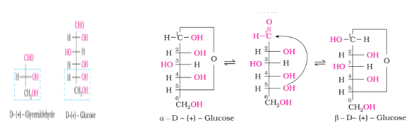 Structure of Glucose