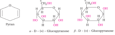 Ring Structure of Glucose
