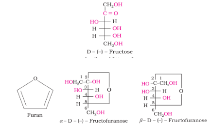 Structure of Fructose