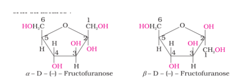 cyclic structures of two anomers of fructose