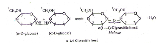 Disaccharides