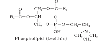 Phospholipids