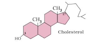  Derived Lipids