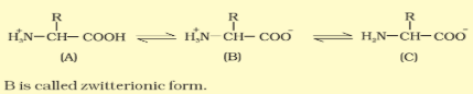 Amino Acid