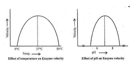 Effect of pH