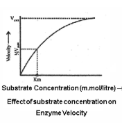 Effect of substrate concentration on the enzyme activity