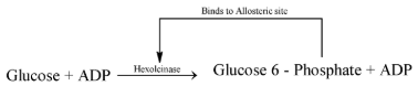 Allosteric inhibition