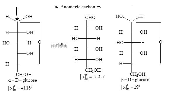 Cyclic Hemiacetal Forms of Glucose