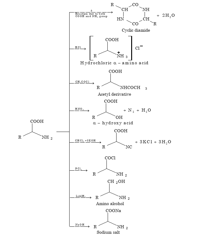 Zwitterion Formation