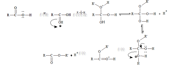 Mechanism of Acid Catalysed Esterification