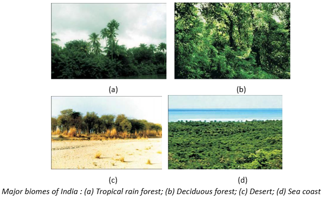 Major Bio in india