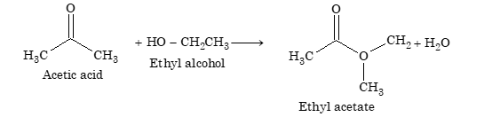 Condensation Polymerization