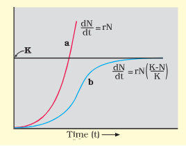 geometric growth pattern of a population
