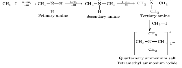 Ammonolysis of alkyl halide: