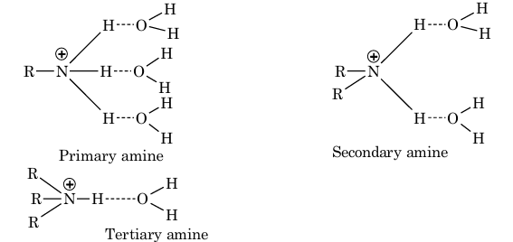 Decrease in hydration of protonated amine