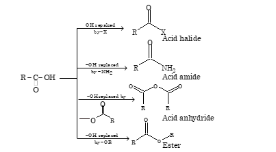 ACID DERIVATIVES