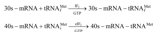 N-formyl methionine 