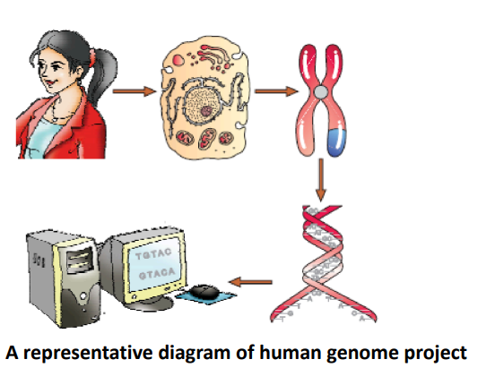 Sequencing Process: