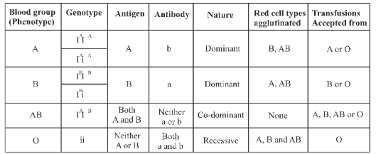 ABO blood groups in humans