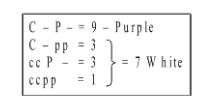 Phenotypic ratio = 9 purple : 7 white