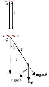 Simple Pendulum